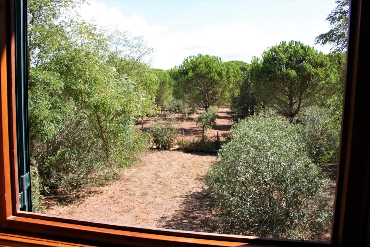 Aparthotel La Canova Ii 3*