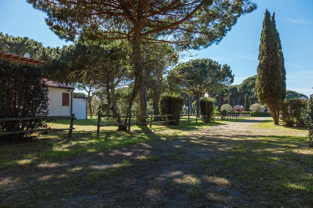 Aparthotel La Canova Ii Marina di Grosseto