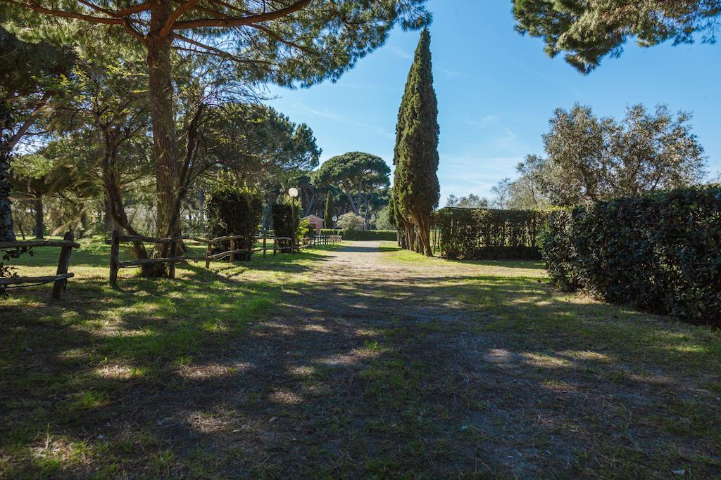 Aparthotel La Canova Ii