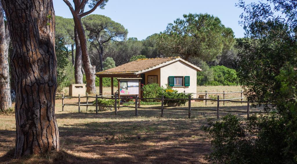 Aparthotel La Canova Ii Marina di Grosseto