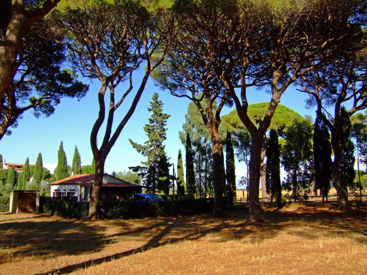 La Canova Ii Aparthotel Marina di Grosseto