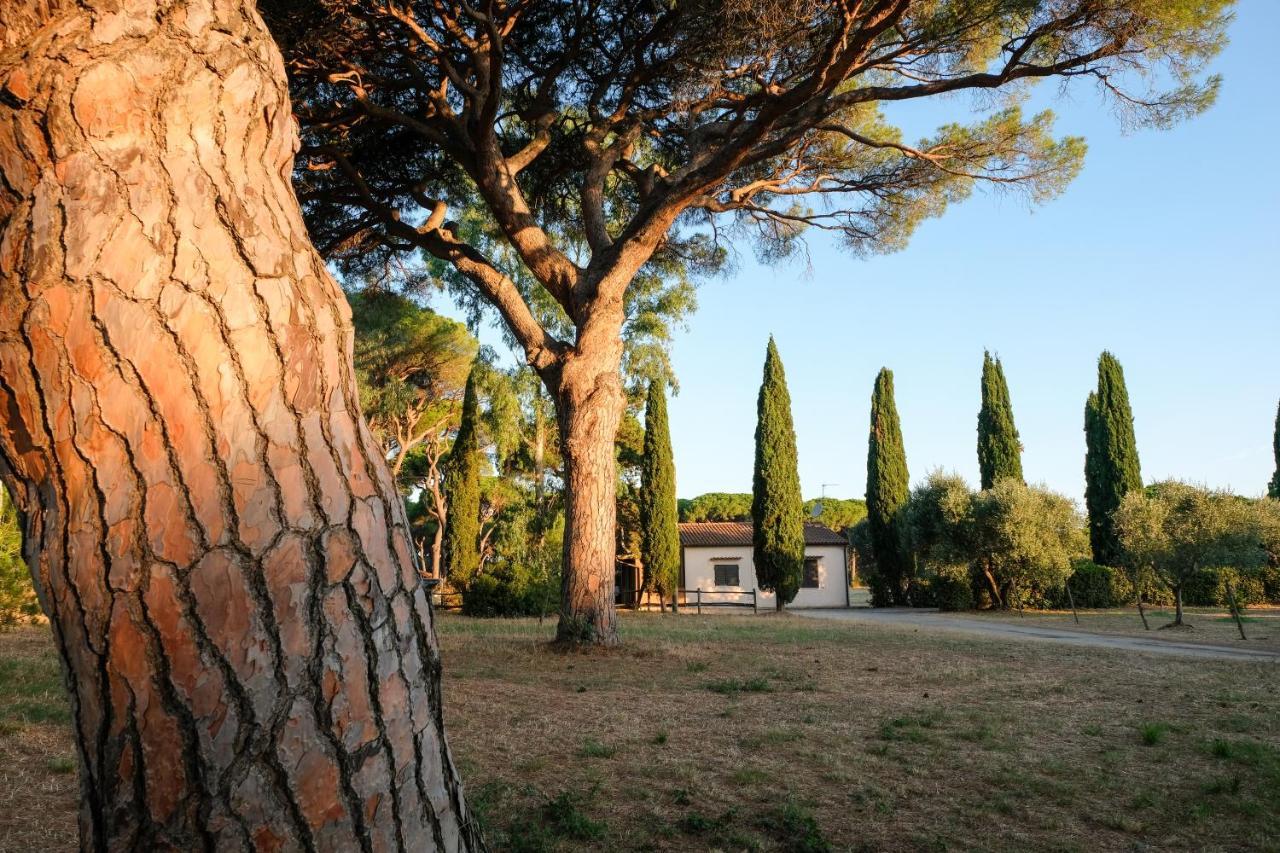 La Canova Ii 3*
