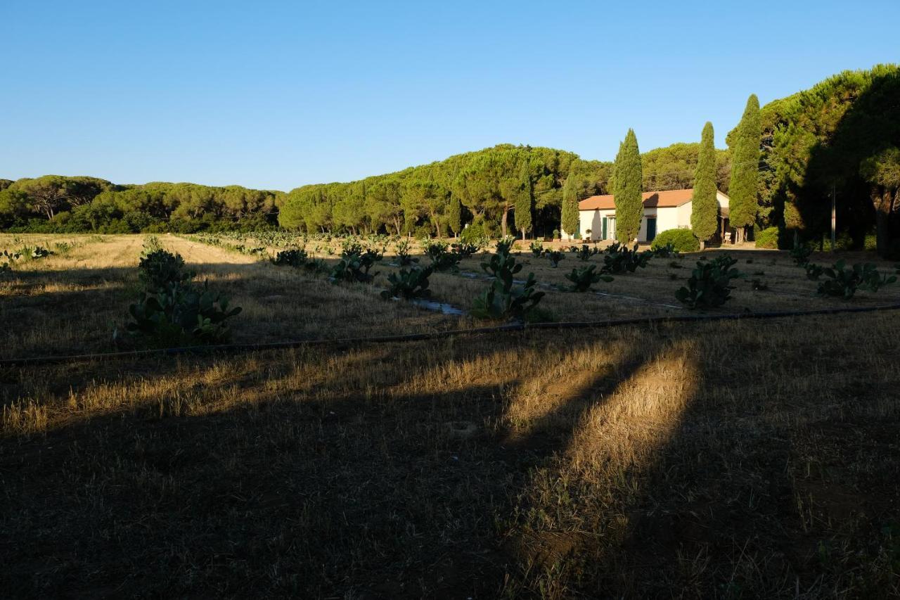 Aparthotel La Canova Ii 3*