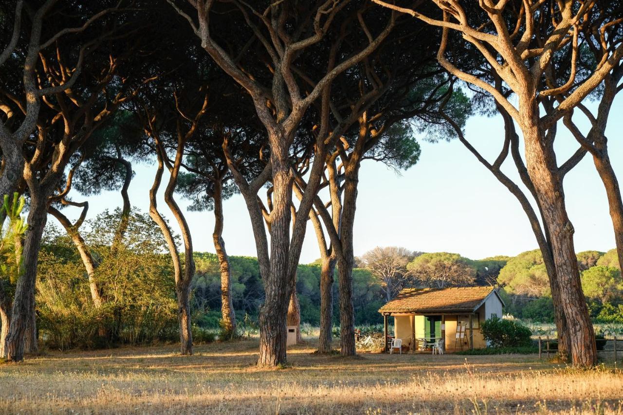 La Canova Ii Aparthotel