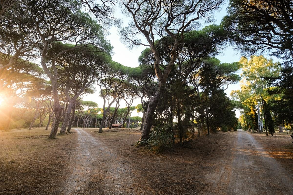 Aparthotel La Canova Ii