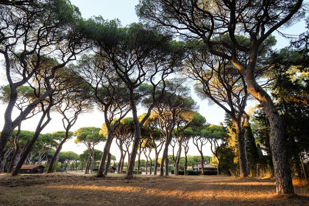 Aparthotel La Canova Ii Grosseto
