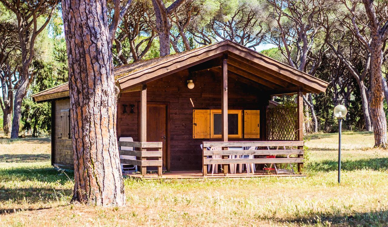 Aparthotel La Canova Ii 3*