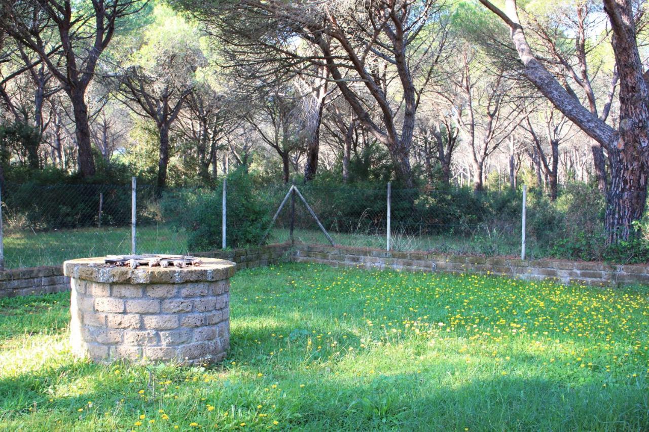 Aparthotel La Canova Ii