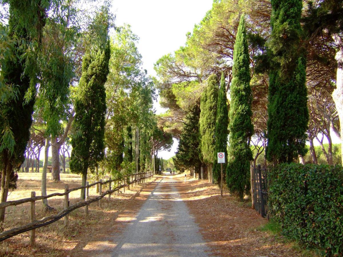 La Canova Ii Aparthotel